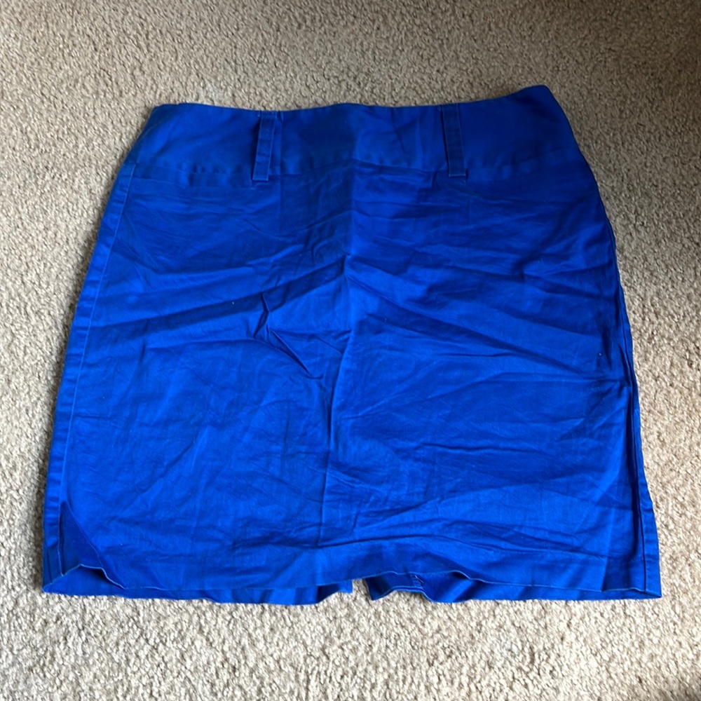 Blue Skirt from Maurices